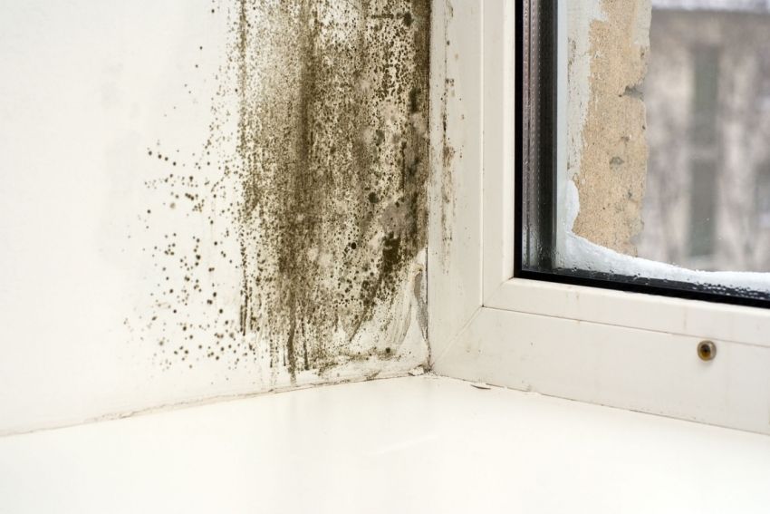 Kenapa tingkap plastik di apartmen berpeluh dari bahagian dalam: punca dan penghapusan mereka