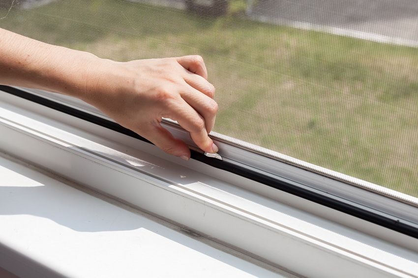 Jangkitan nyamuk di tingkap: penghalang yang boleh dipercayai dari serangga, debu dan ke bawah