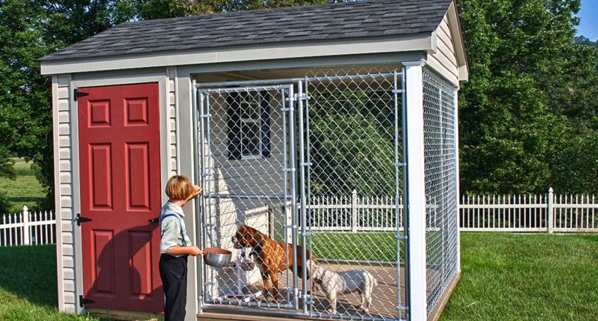 Aviary for dogs: gambar-gambar reka bentuk yang berjaya dibuat oleh diri sendiri