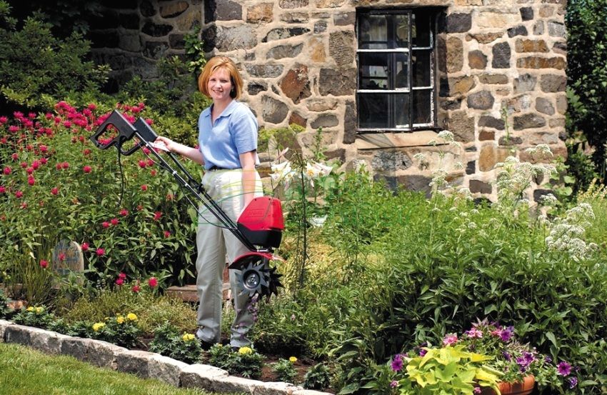 Penggali elektrik untuk berkebun: teknik tukang kebun yang tidak boleh diketepikan
