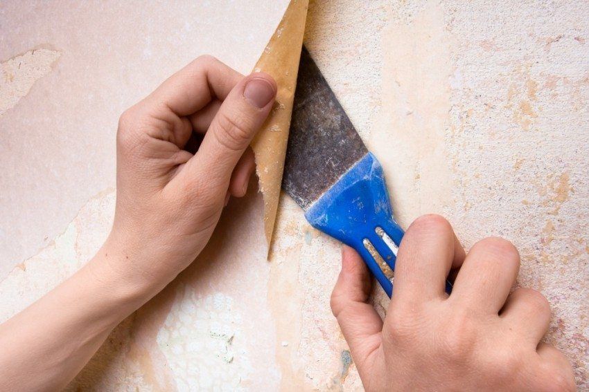 Bagaimana untuk memainkan kertas dinding vinil pada asas kertas: tip berguna untuk hiasan dinding