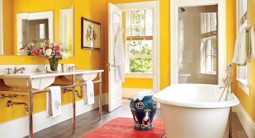 Cat bilik mandi: bagaimana untuk memilih pilihan terbaik untuk hiasan dinding