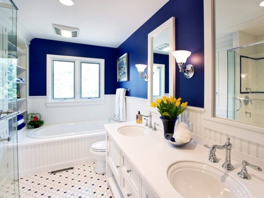 Cat bilik mandi: bagaimana untuk memilih pilihan terbaik untuk hiasan dinding