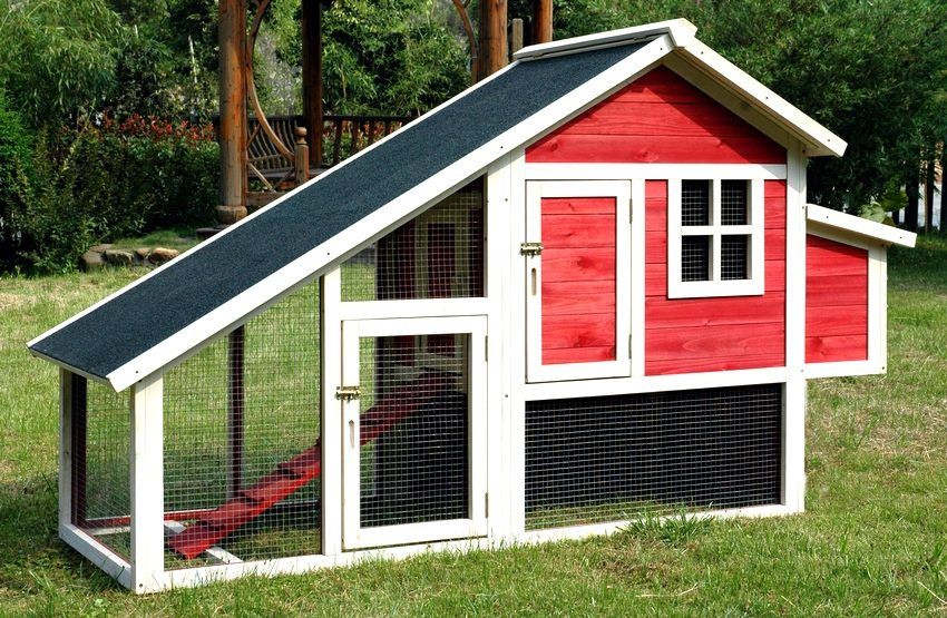 Do-it-yourself chicken coop pada 10 ayam: lukisan dan ciri-ciri pembinaan